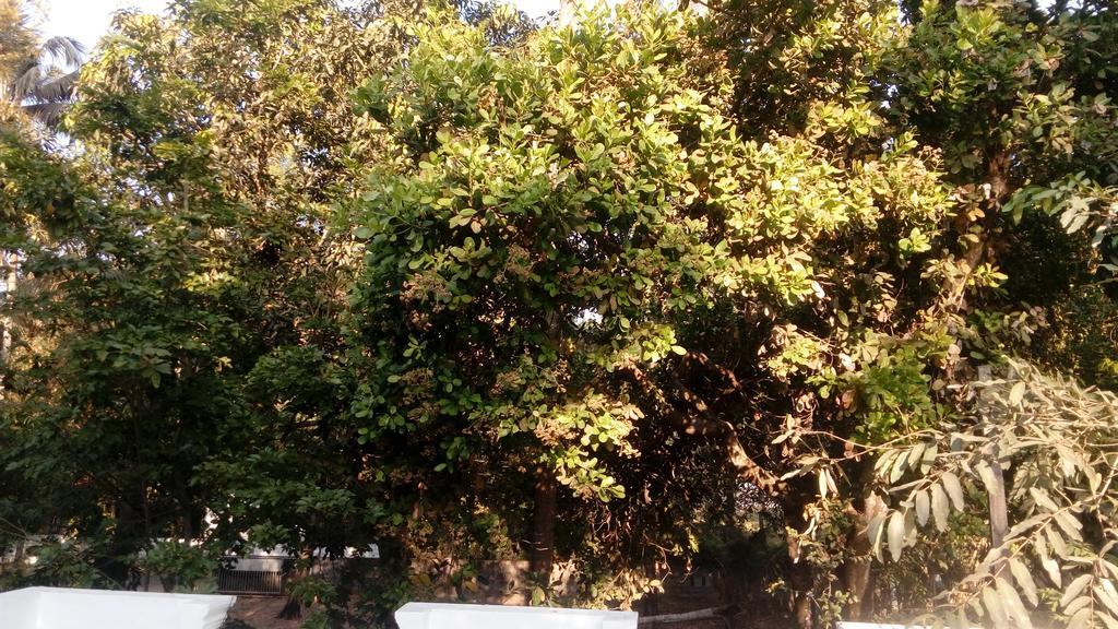 Appartamento Coconut Garden Cherai Beach Esterno foto